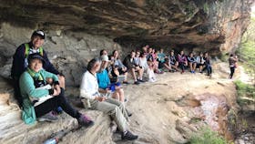 Blue Mountains Tours