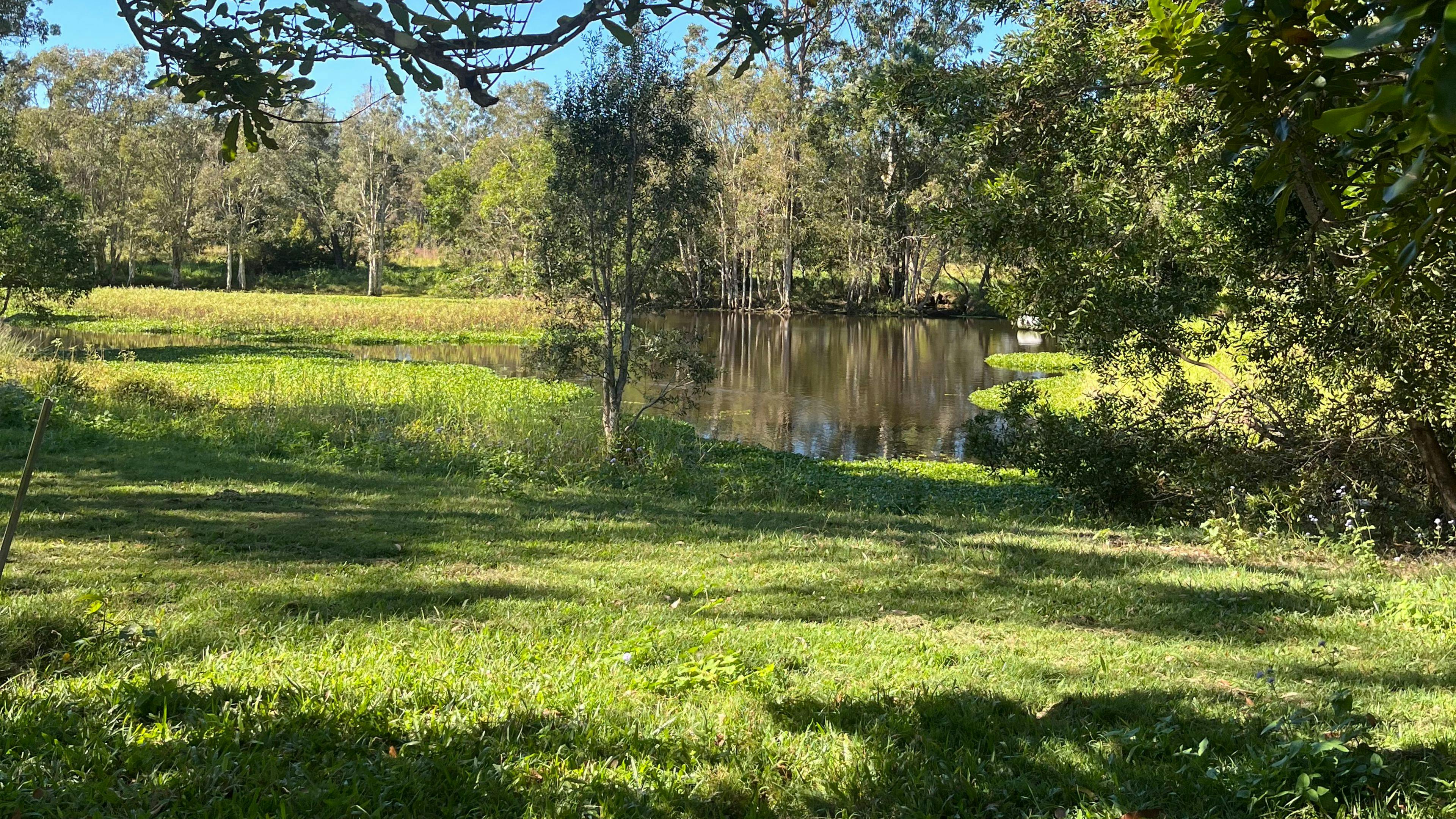 Clyde’s Forest Farm Adventure
