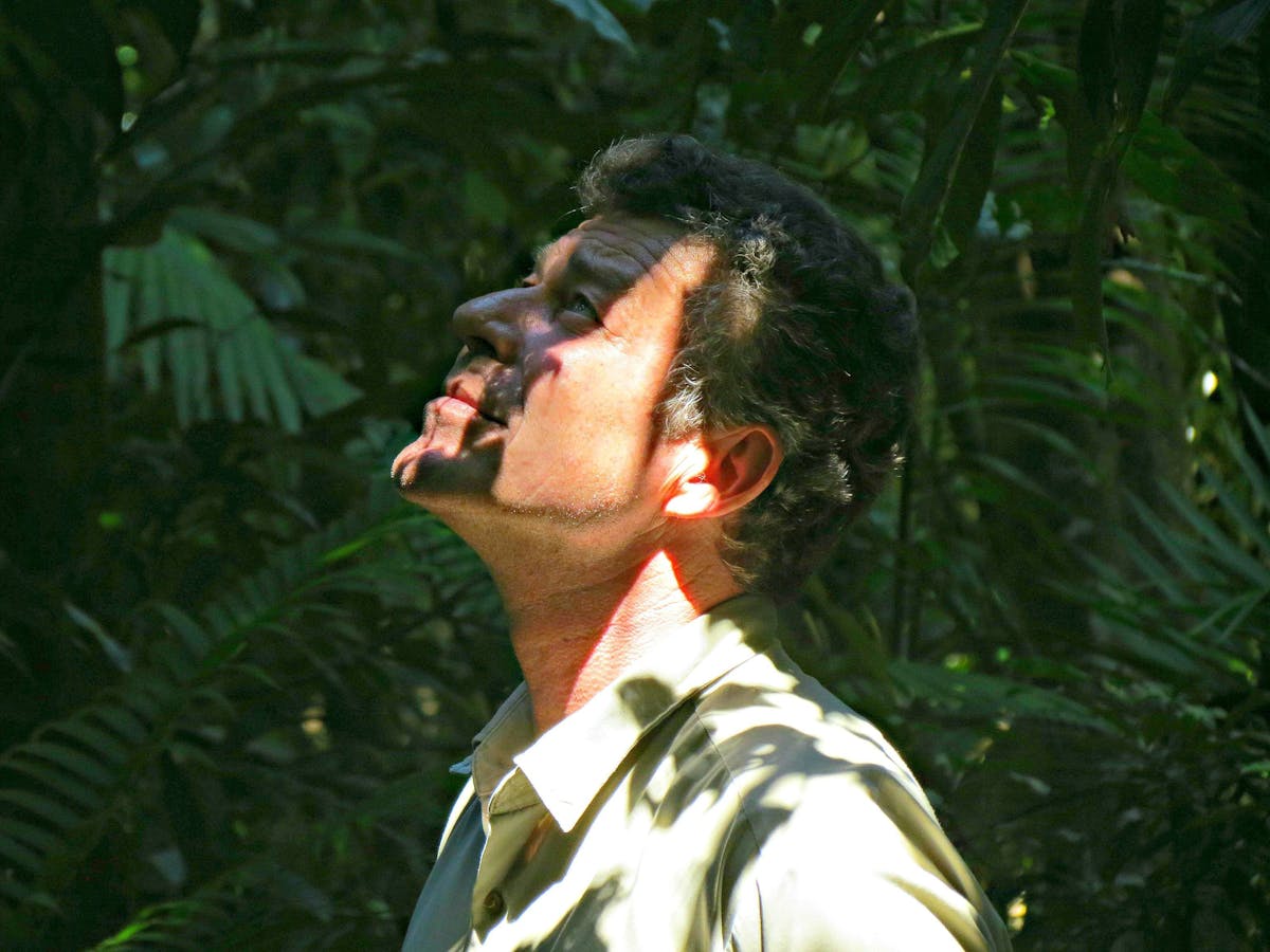 Your guide, Nicholas Fox