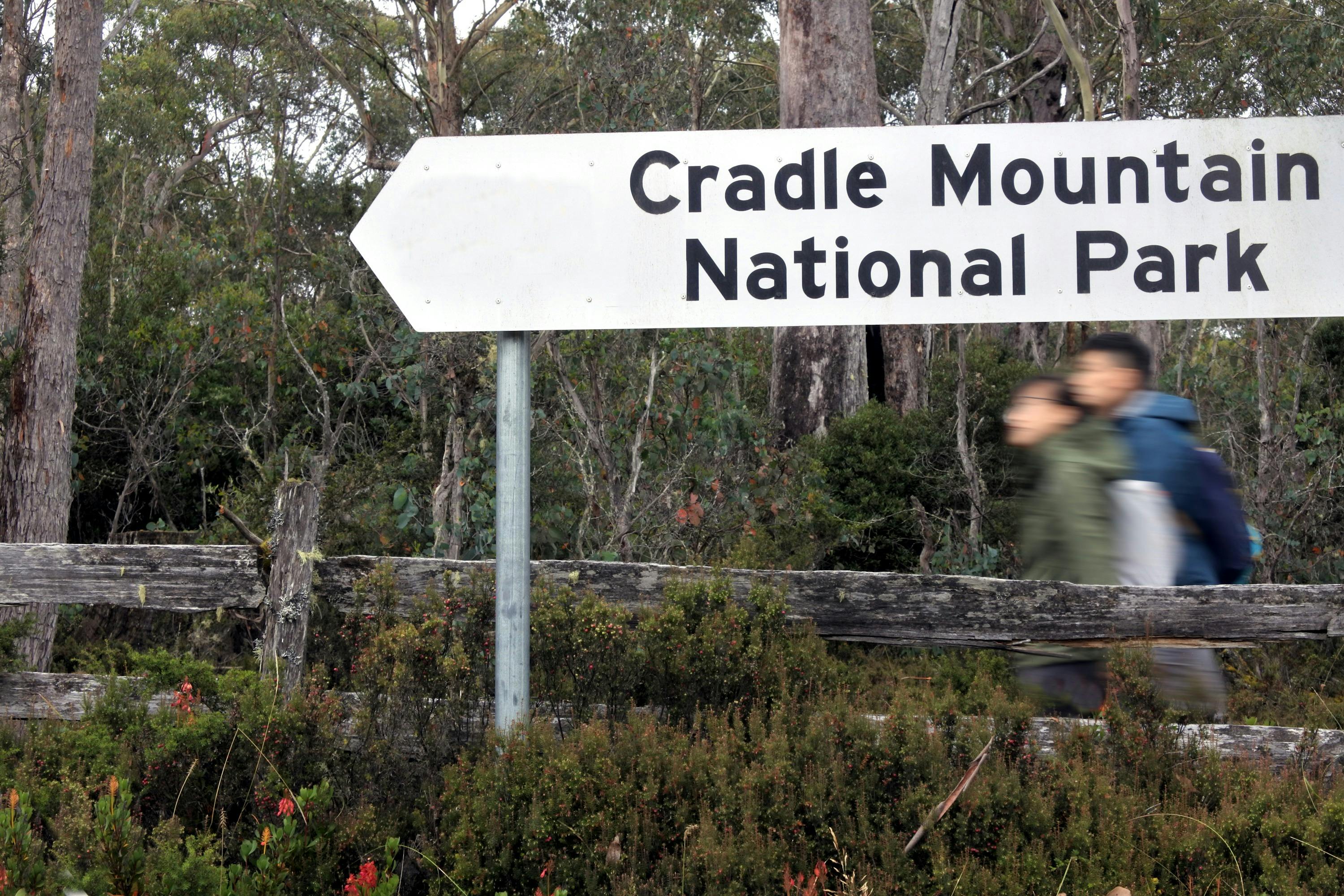 Cradle Mountain Transfers