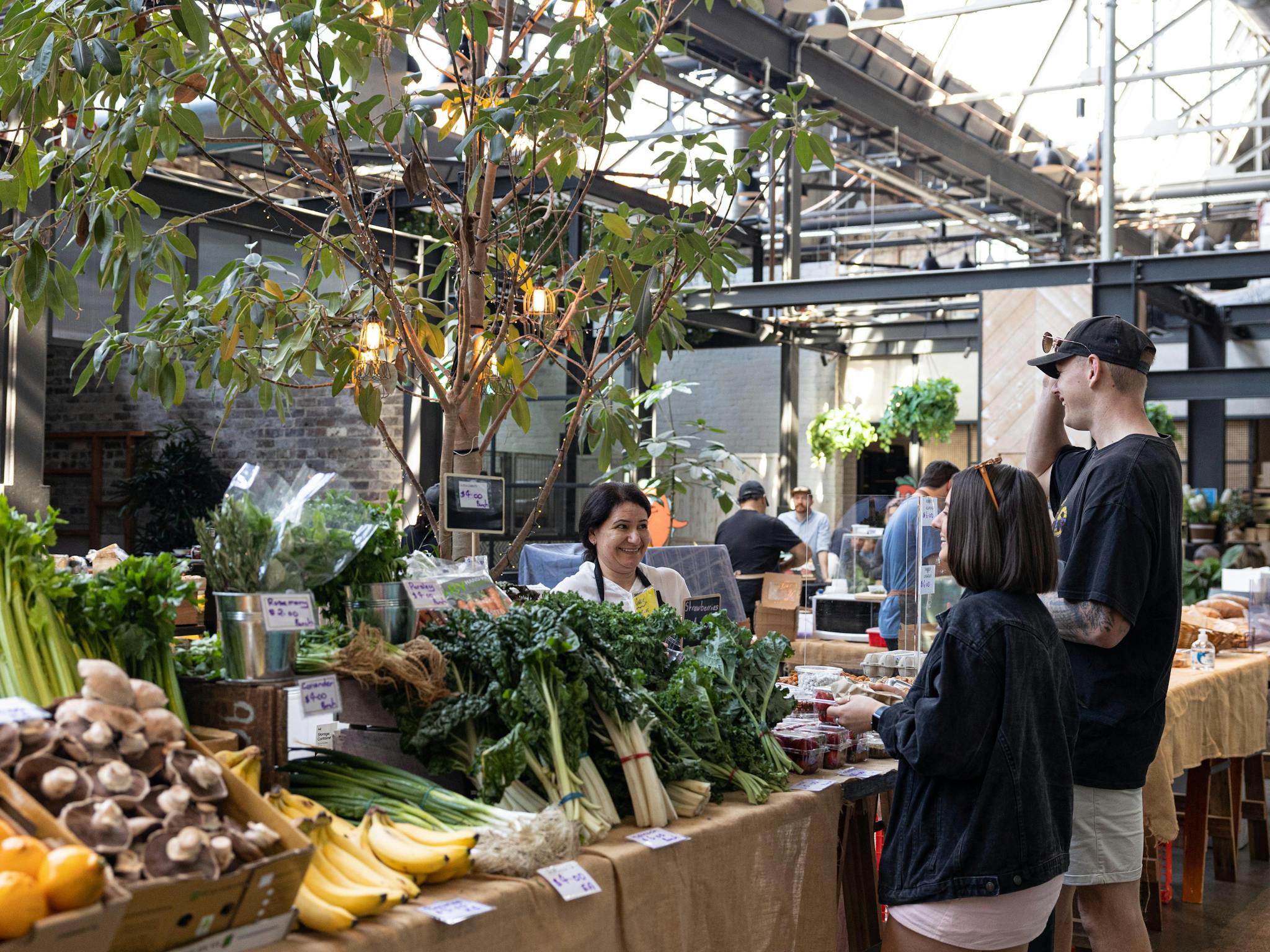 悉尼 Tramsheds 室內市集 9 月起逢週末舉行!逛手作攤檔與農產美食交通指南
