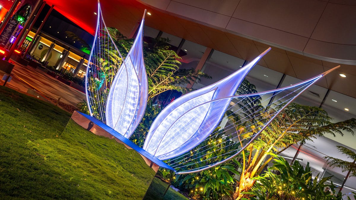 Angel wing Christmas lights