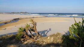 Mara Creek Beach
