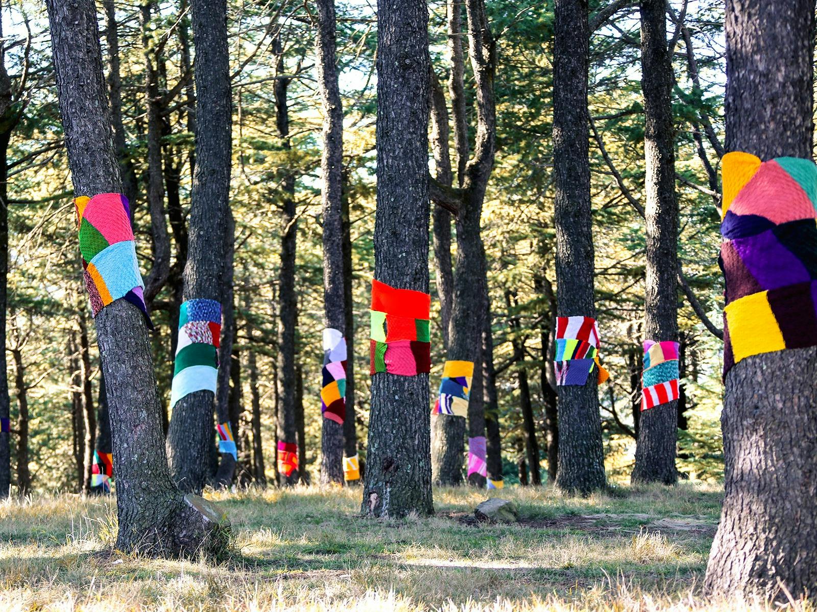 Tall tree trunks wrapped in multicoloured scarfs