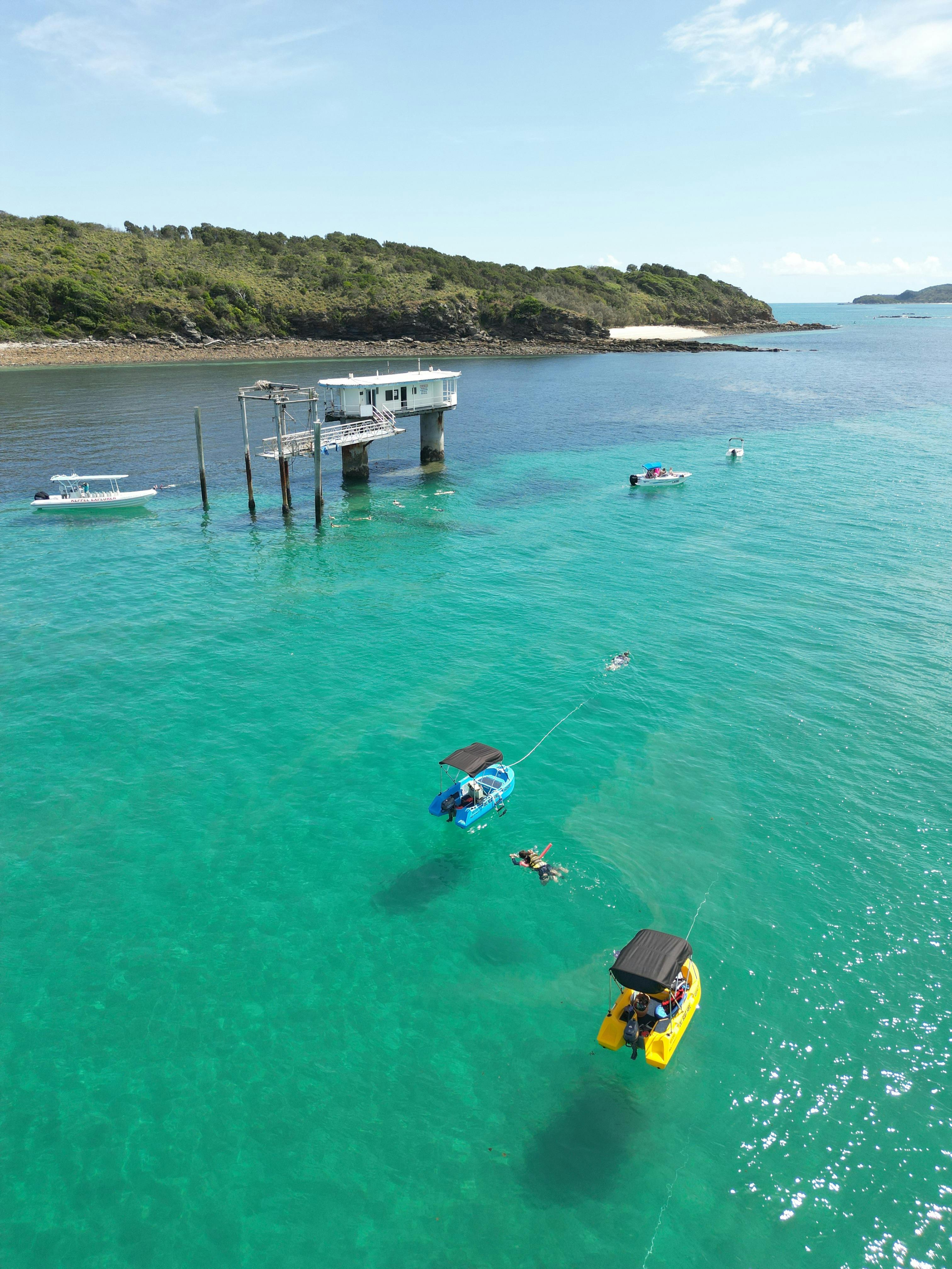 Guests snorkelling from hire boats in calm waters off Great Keppel Island, QLD.