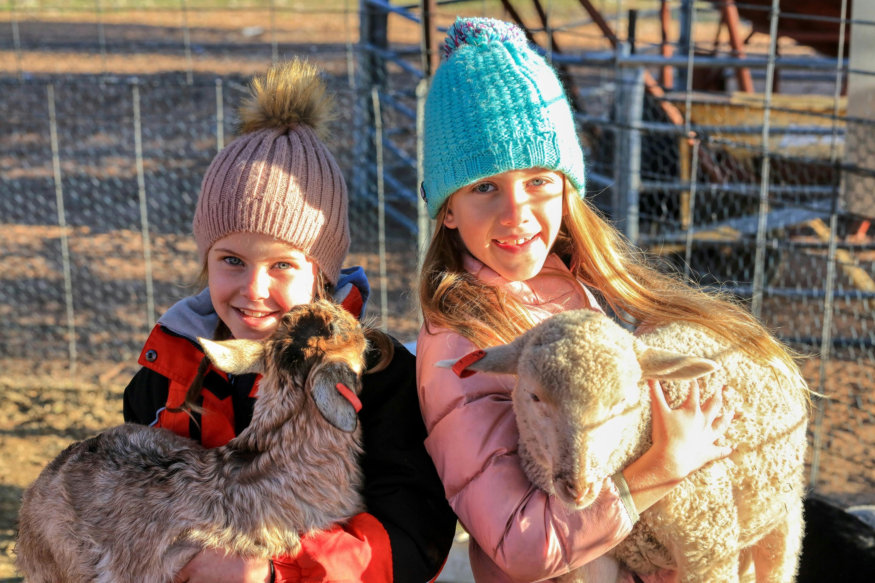 camping lightning ridge