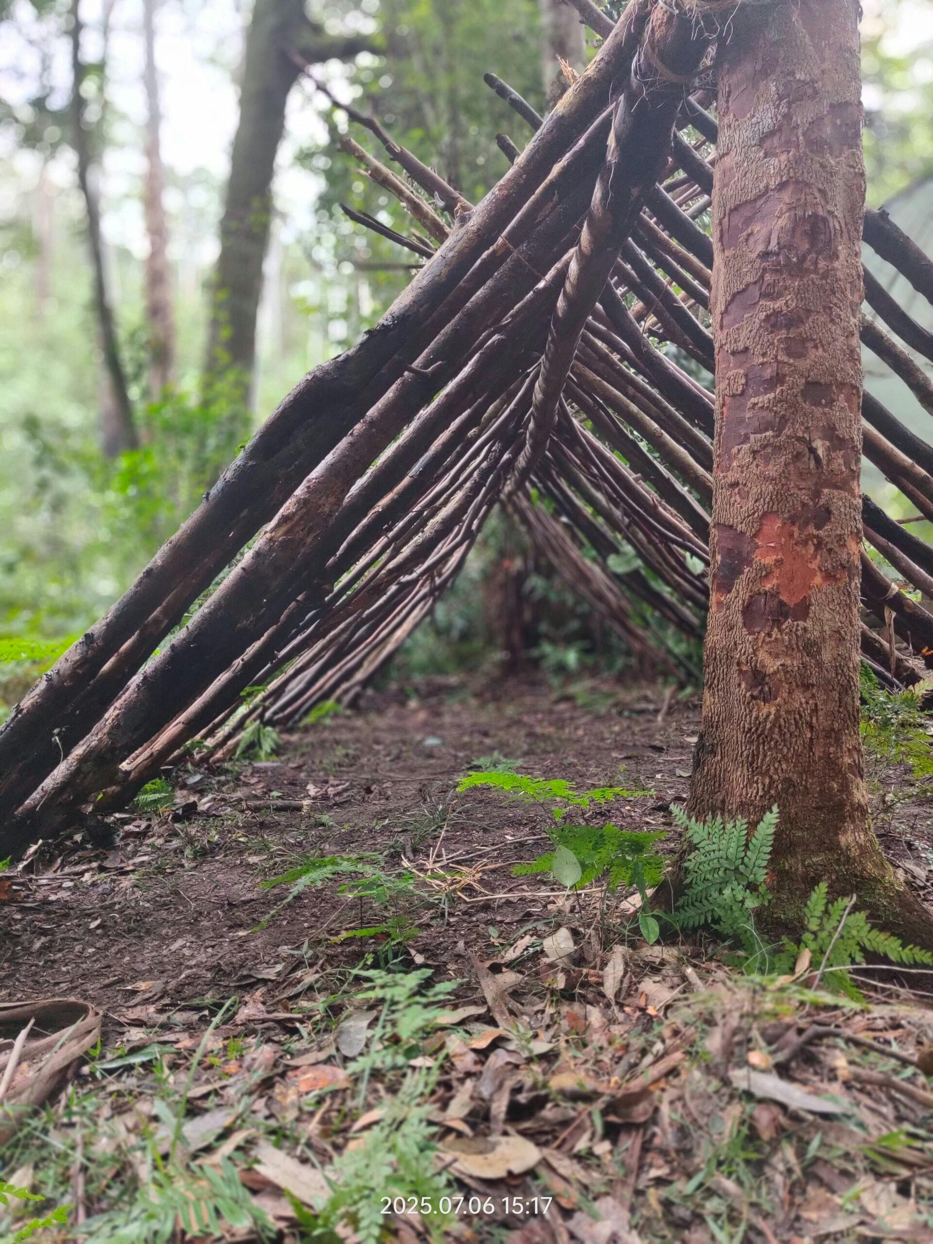 Shelter making deep in the bush