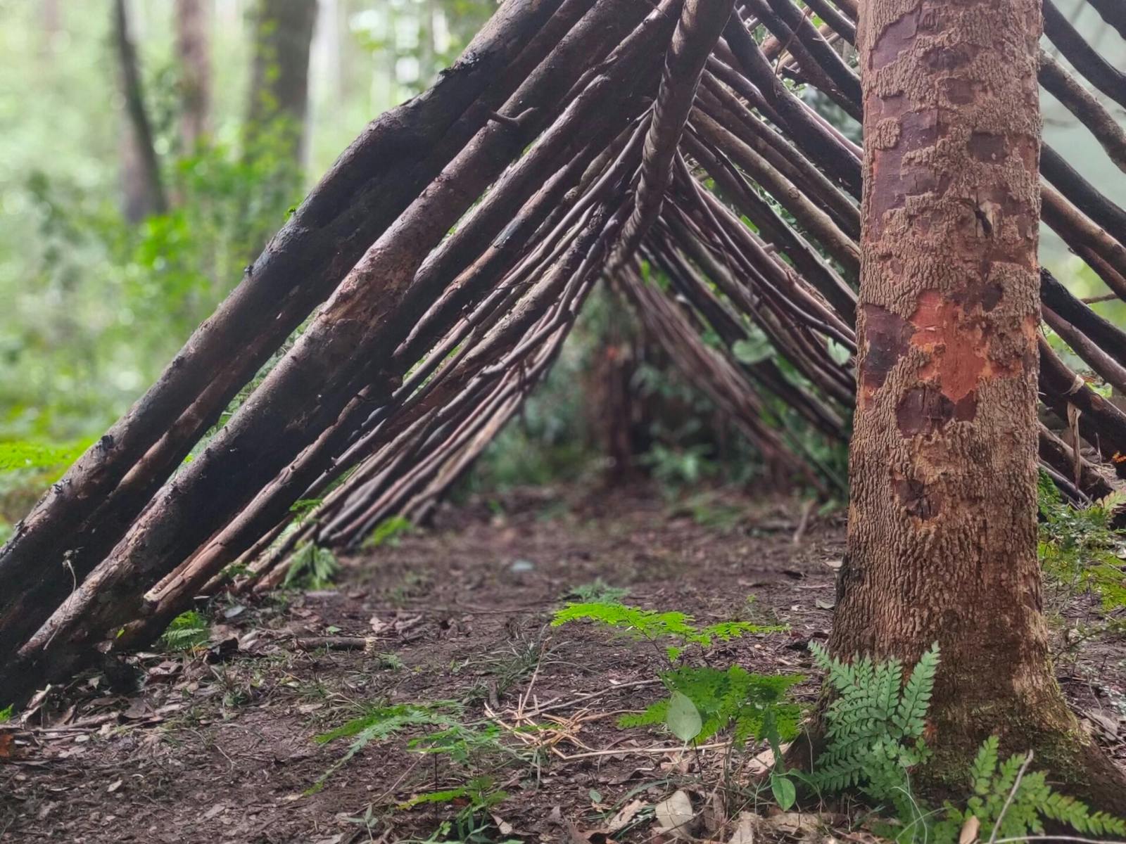 Shelter making deep in the bush