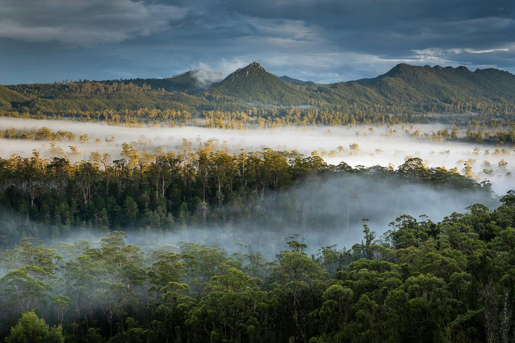 Photograph of a foggy valley by Matt Palmer