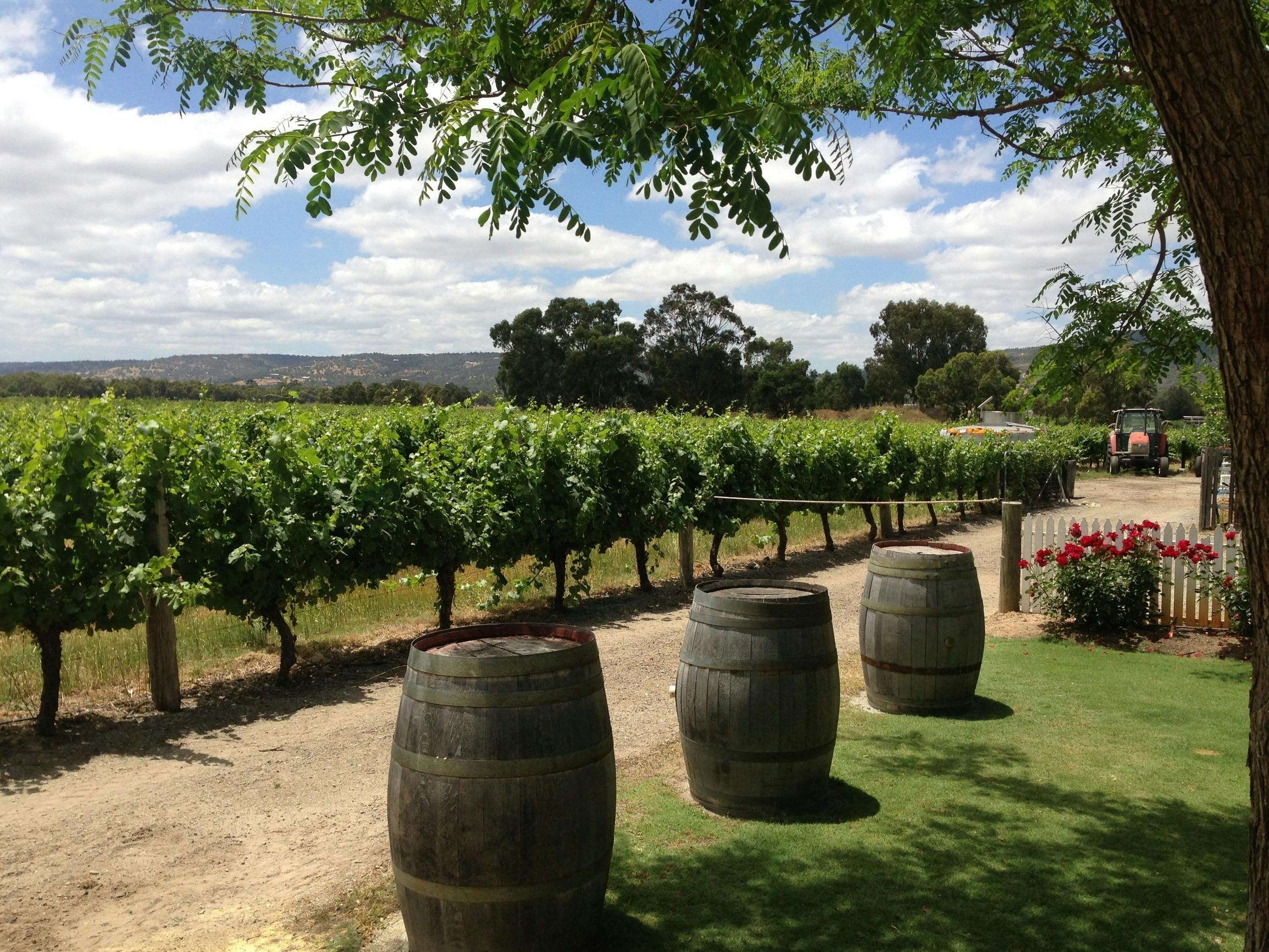 Windy Creek Estate, Swan Valley