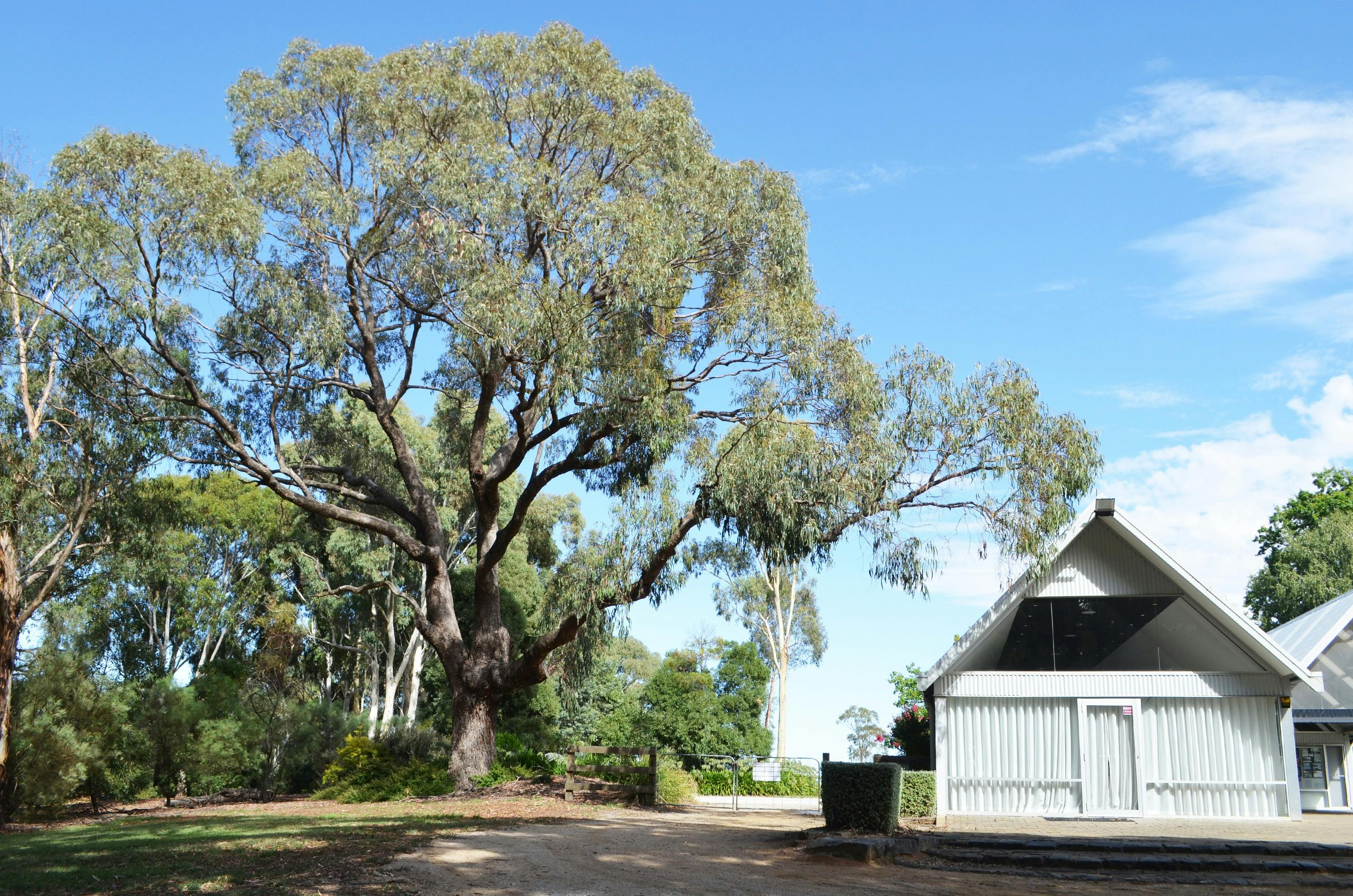 식물원 기능 센터