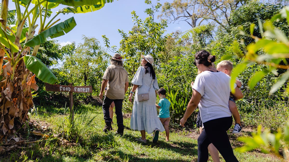Guided tour through the food forest at High Valley Dawn Permaculture Farm, near Yeppoon,  Queensland