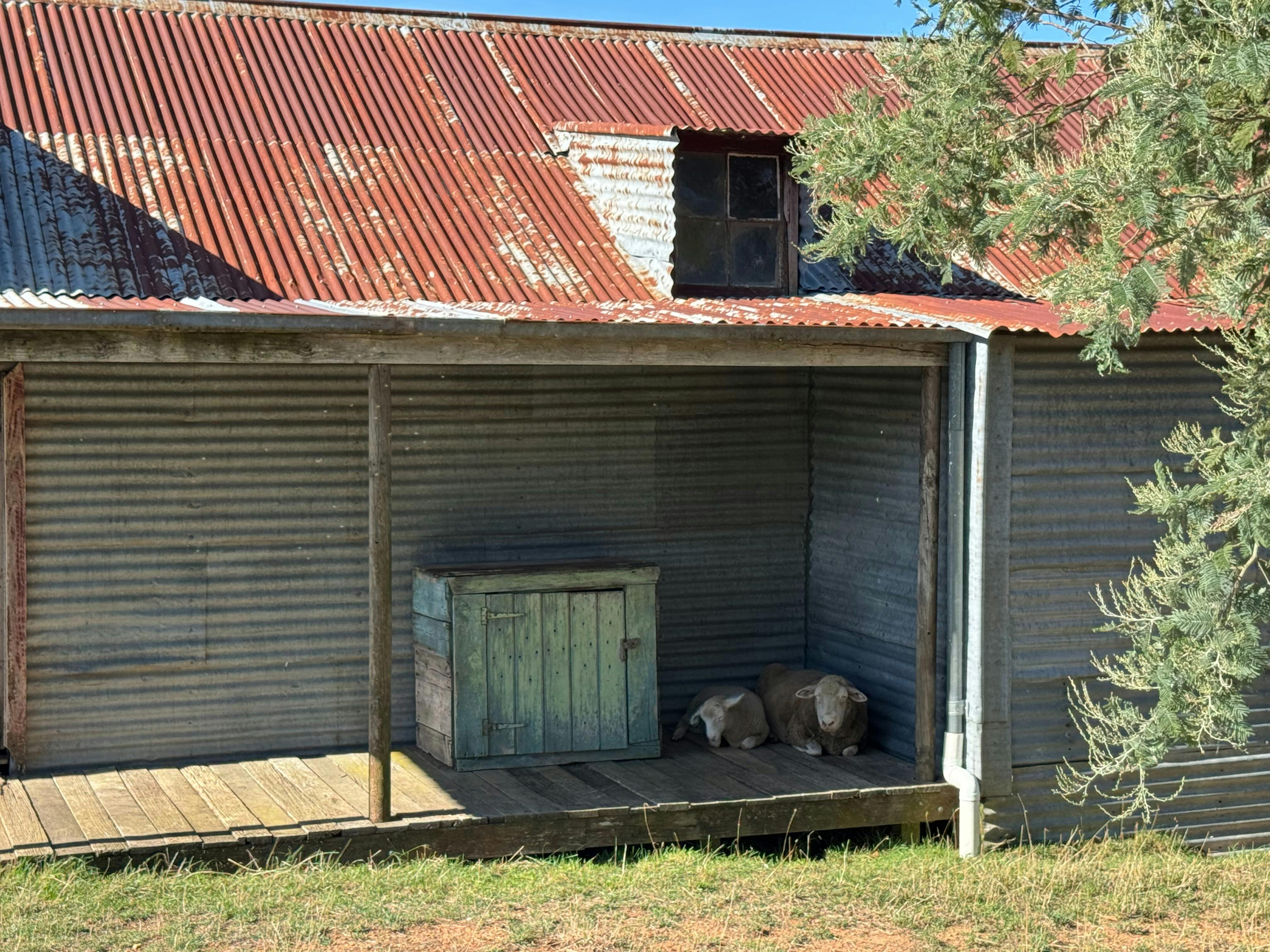Shearers quarters