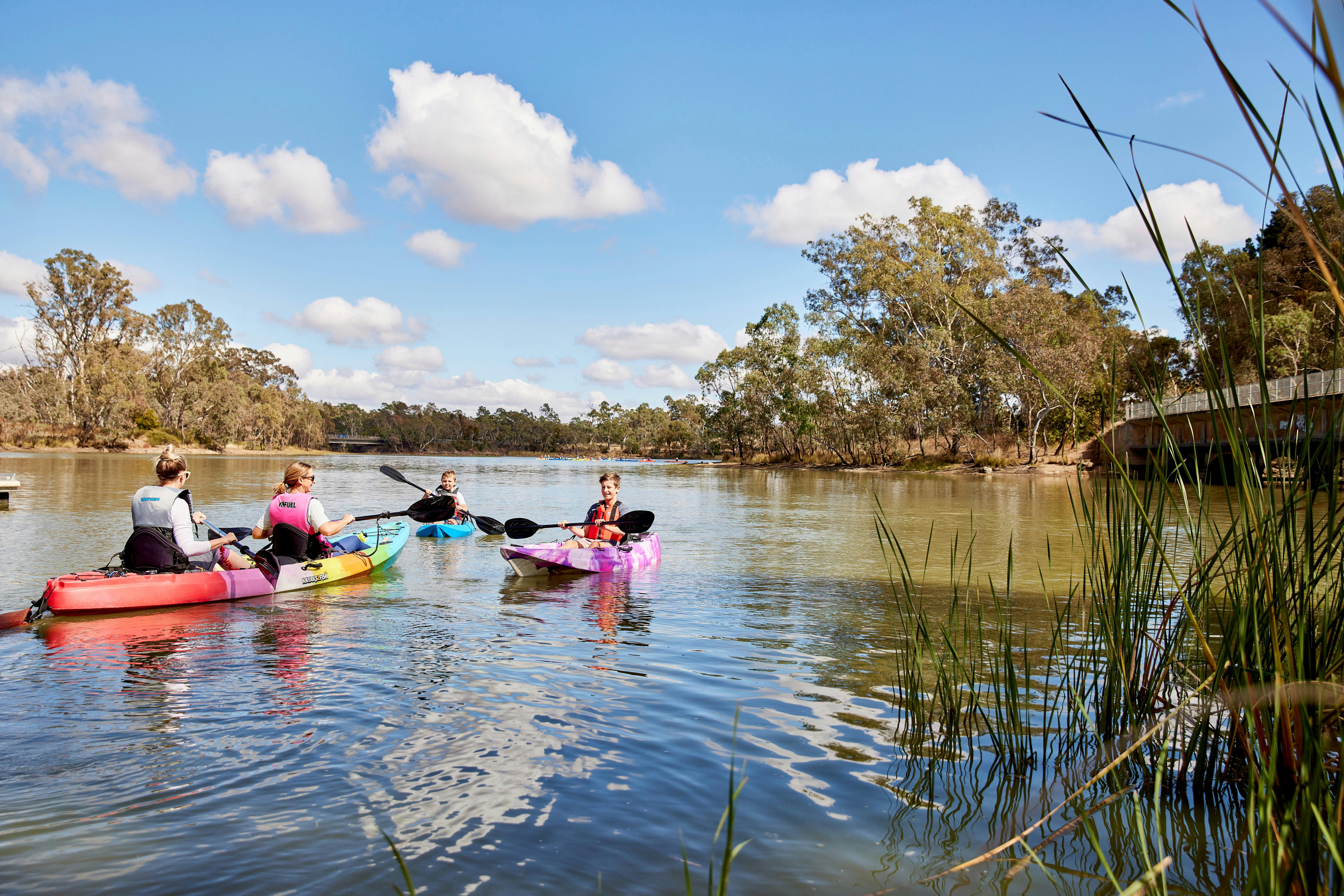 Barossa kayak Hire