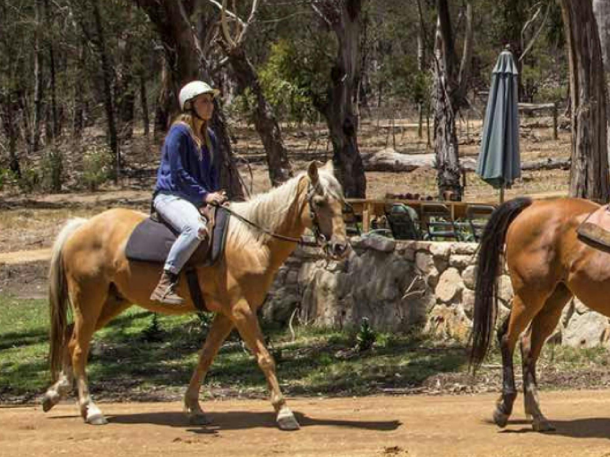 Spring Creek Horse Rides Big4 Wye River Holiday Park Big4