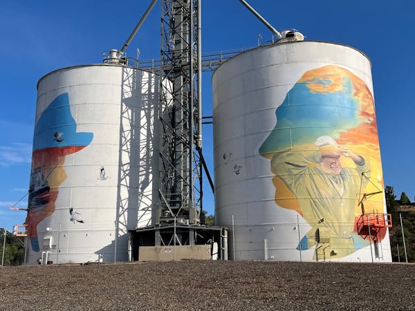 Paringa Silo Art