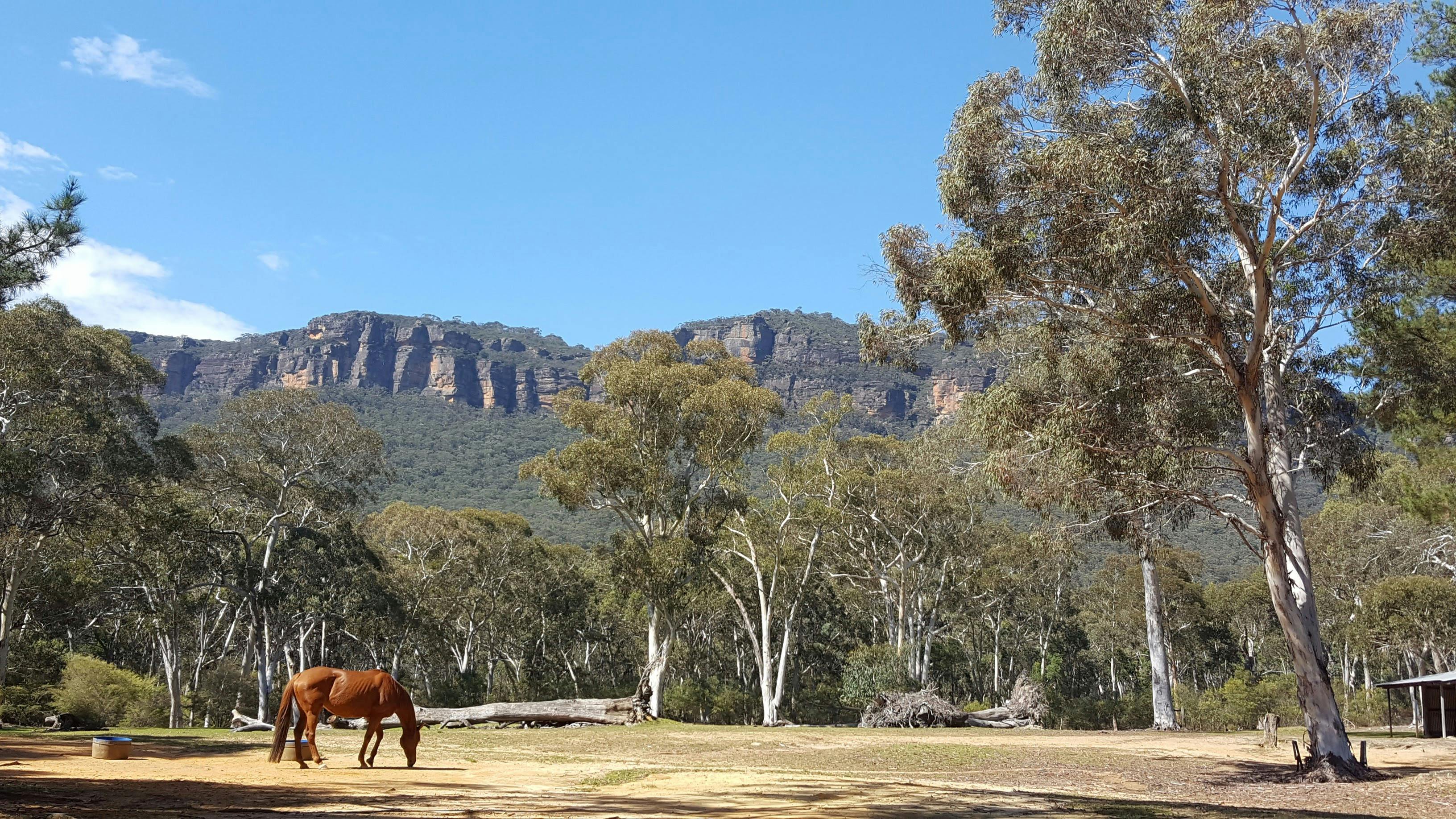 Open Country on the Six Foot Track