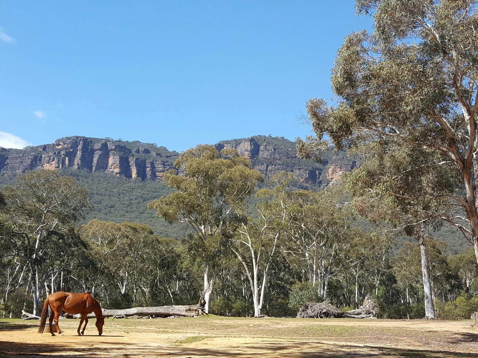 Open Country on the Six Foot Track