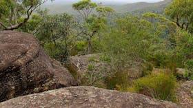 Pigeon House Mountain Didthul Walking Track
