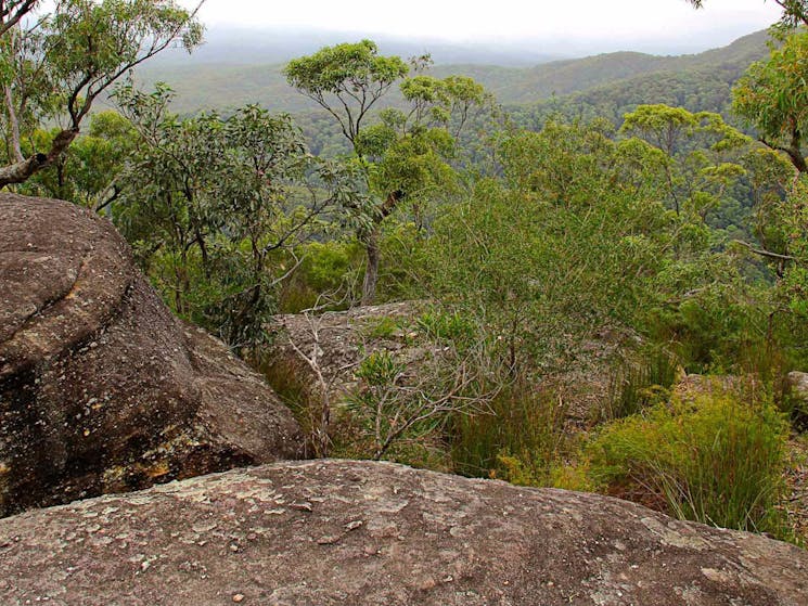 A lookout, Pigeon House Didthul walking track. Photo: John Yurasek Copyright:NSW Government