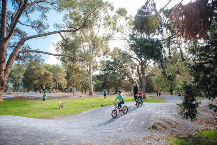 BMX City Dirt Tracks Blue Gum Park Kurangga
