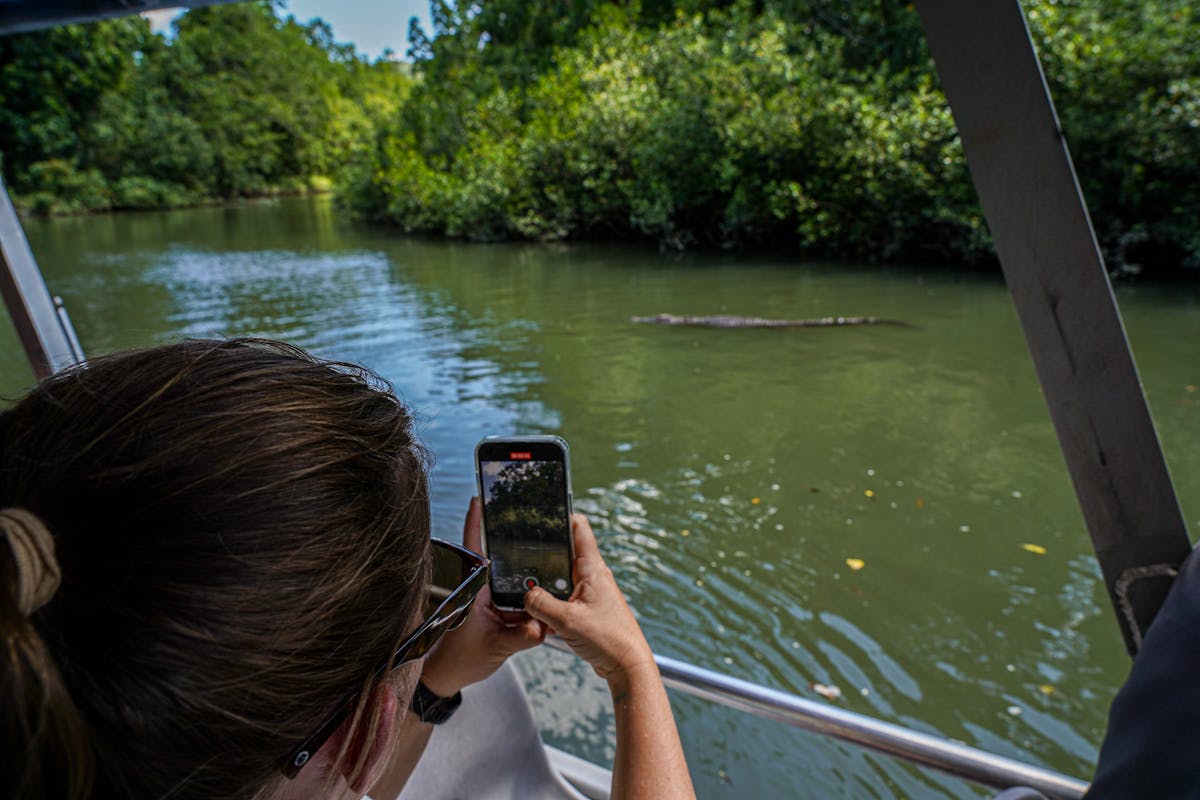 Tour guests takes photo of crocodile on Daintree River Cruise with Daintree Discovery Tours