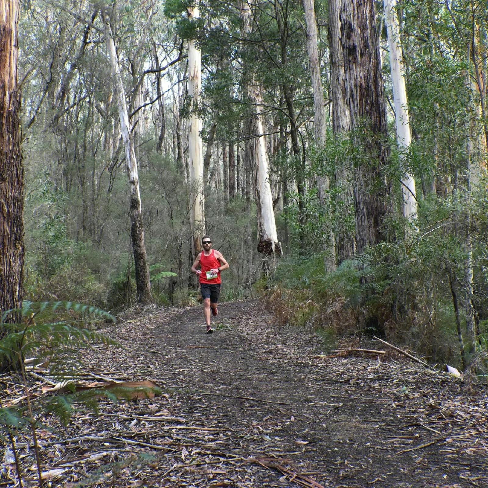 AKD Otway Trail Run