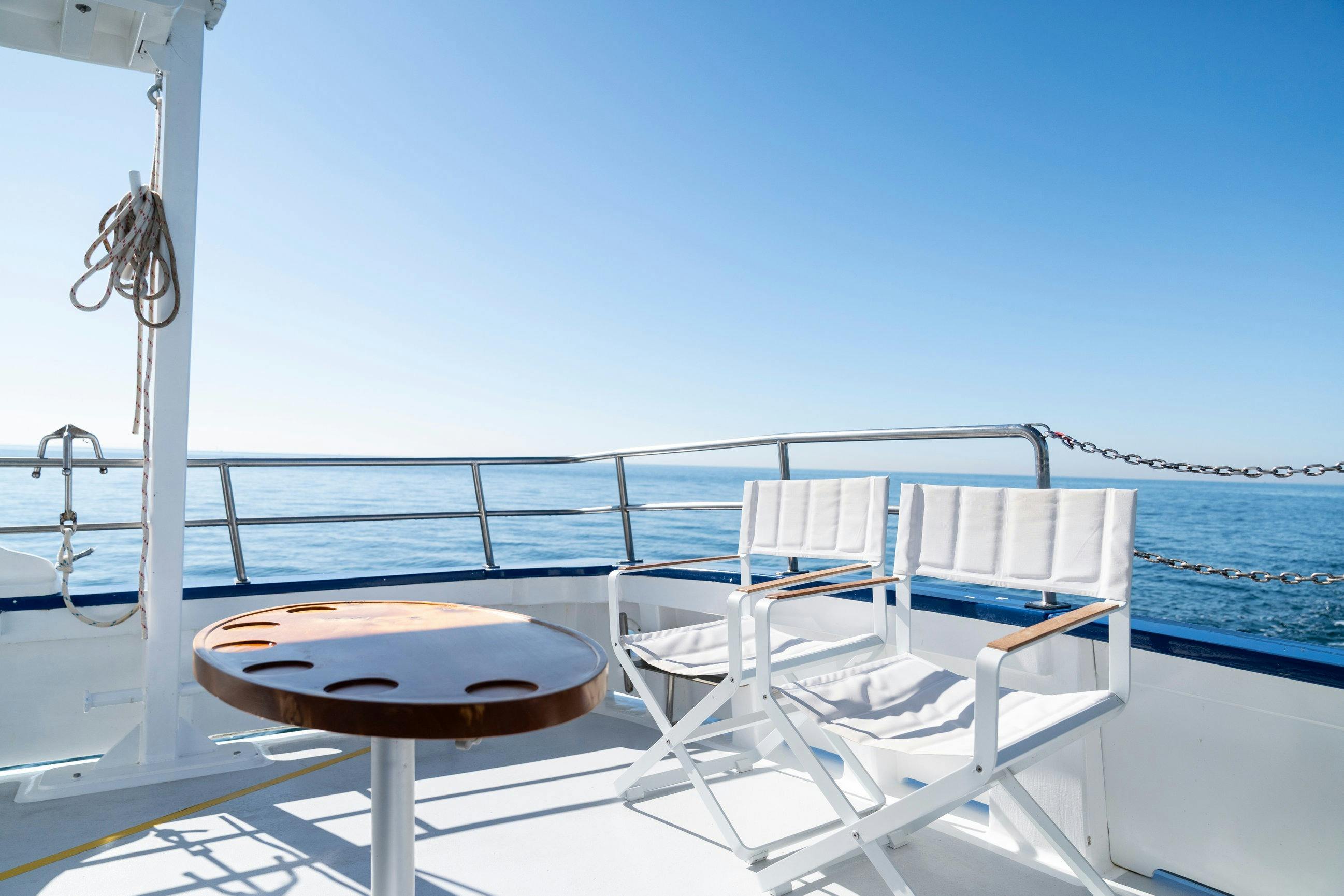 Back deck on Portarlington Mussel Tours