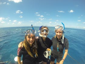 Student camps and student excursions to the Great Barrier Reef