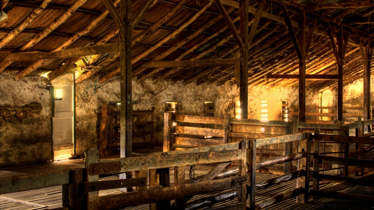 Bungaree has one of the oldest working woolsheds in Australia