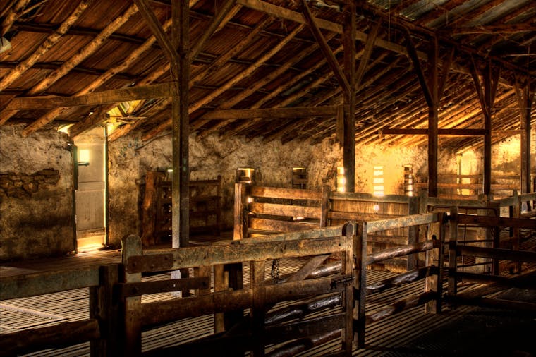 Bungaree Station Self guided tours