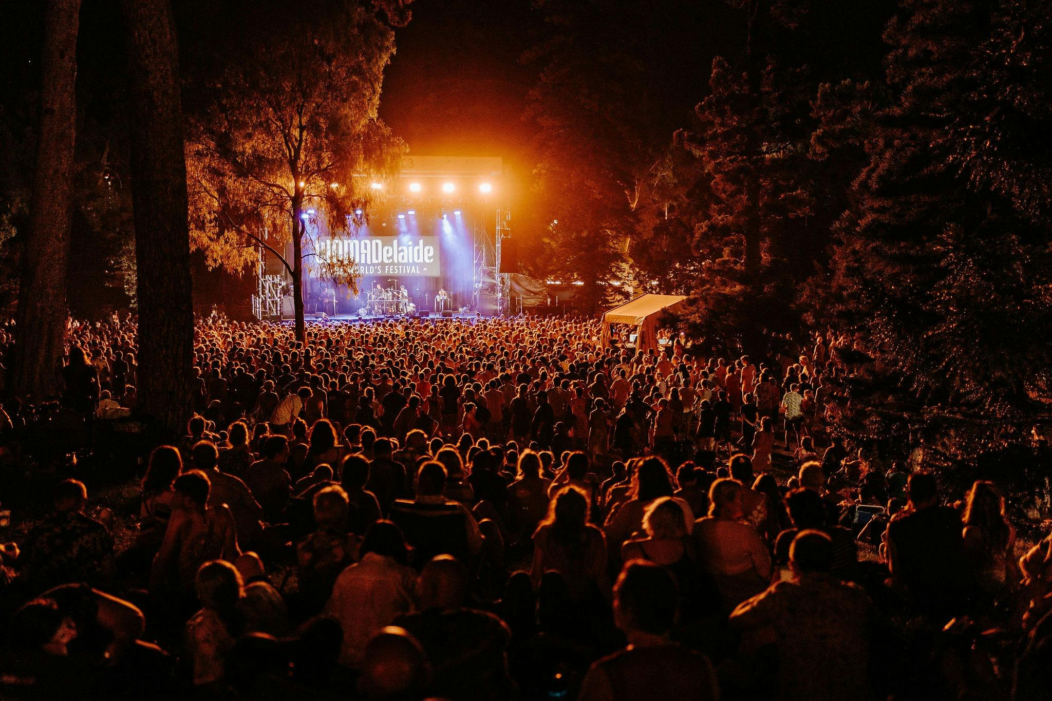 Artist on stage at WOMADelaide 2024