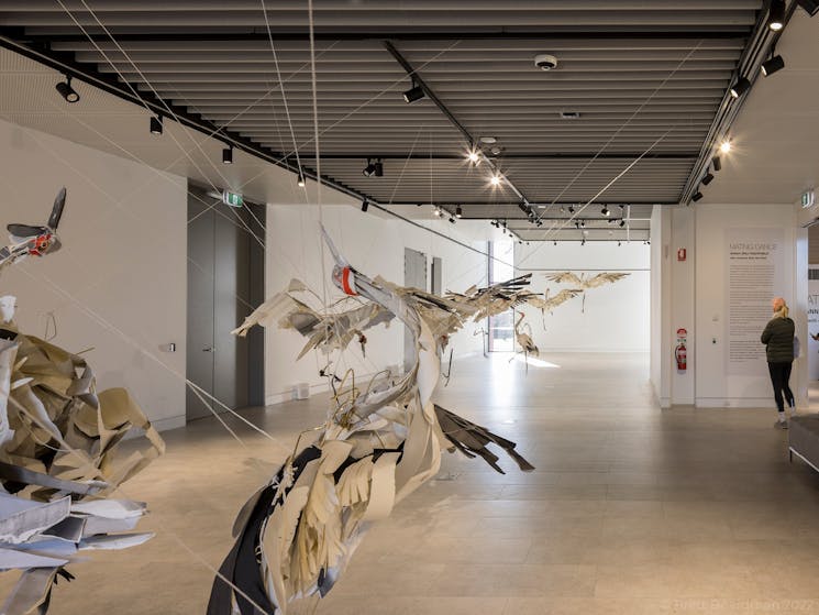 Mudgee Arts Precinct - main gallery space - Anna-Wili Highfield: Mating Dance exhibition