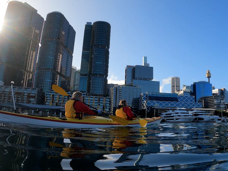 Kayaking through Darling Harbour and the city sky-line