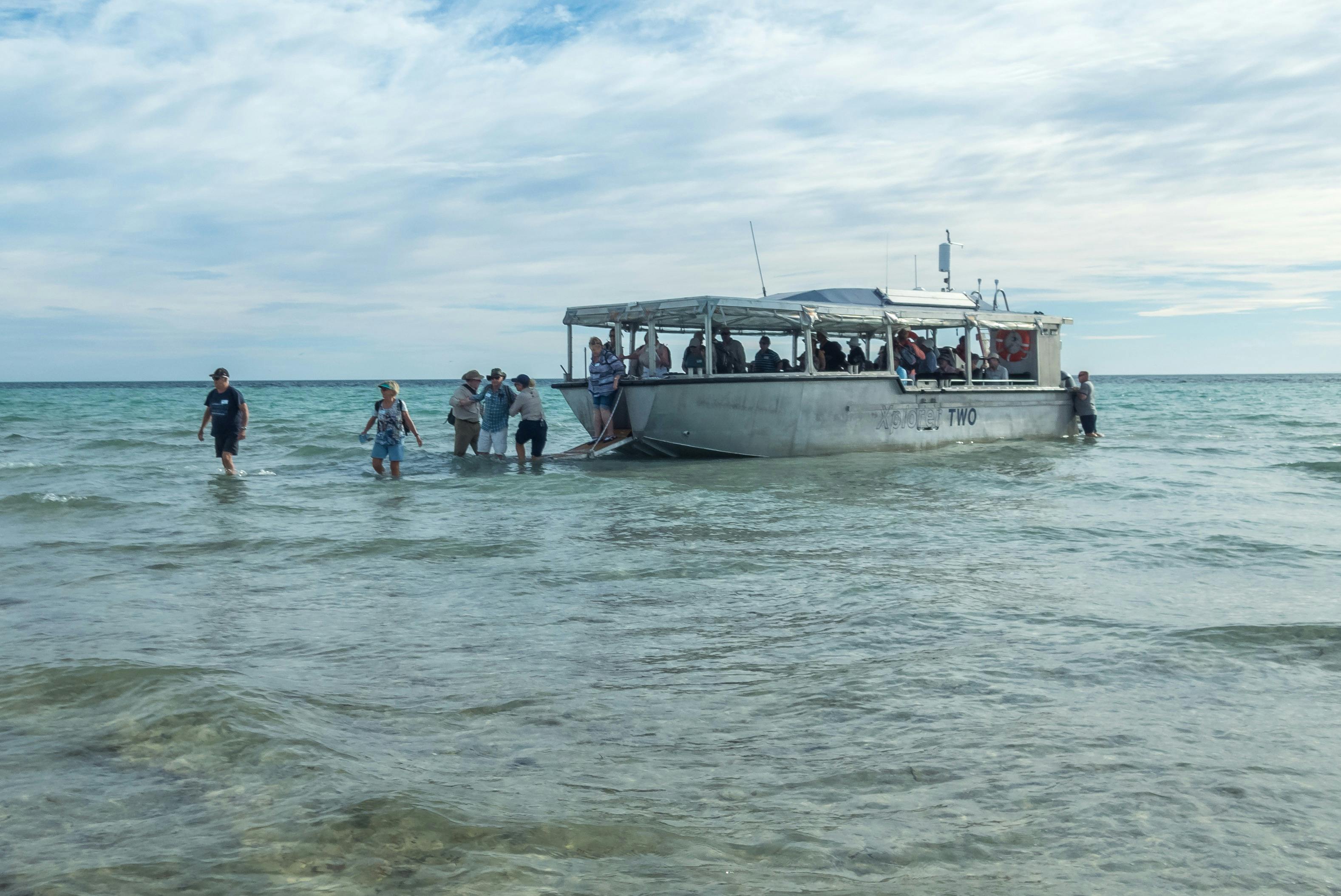 Shore landing - Coffin Bay. Discover tranquil bays and kayak with the chance to spot marine life.