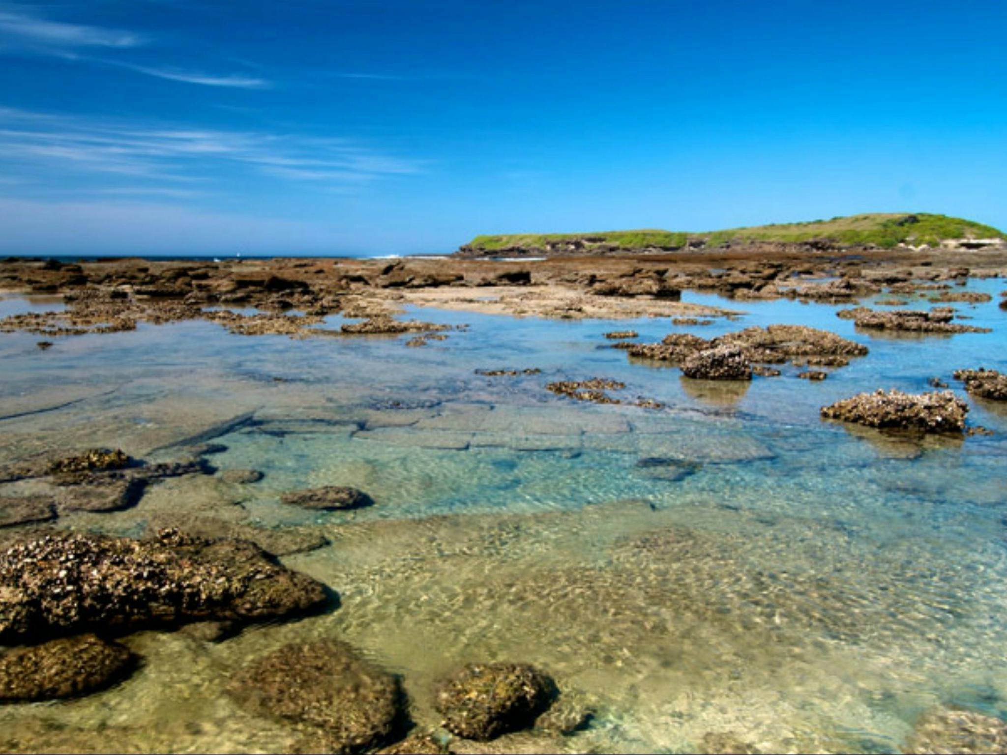 Moonee Beach trail