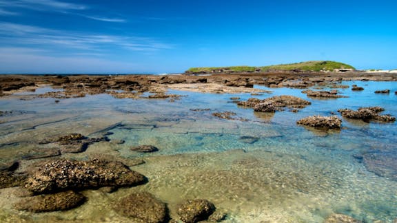 Moonee Beach trail