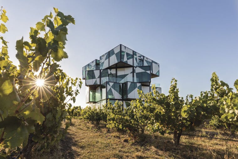 McLaren Vale Wine & Gin Tour - Noarlunga Downs, Tour Service | SA...