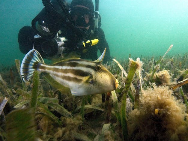 Corner Inlet Marine National Park