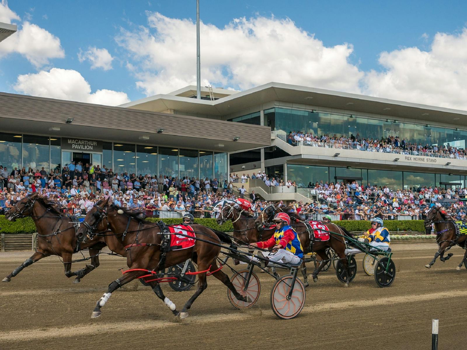 Image for The NSW Breeders Challenge