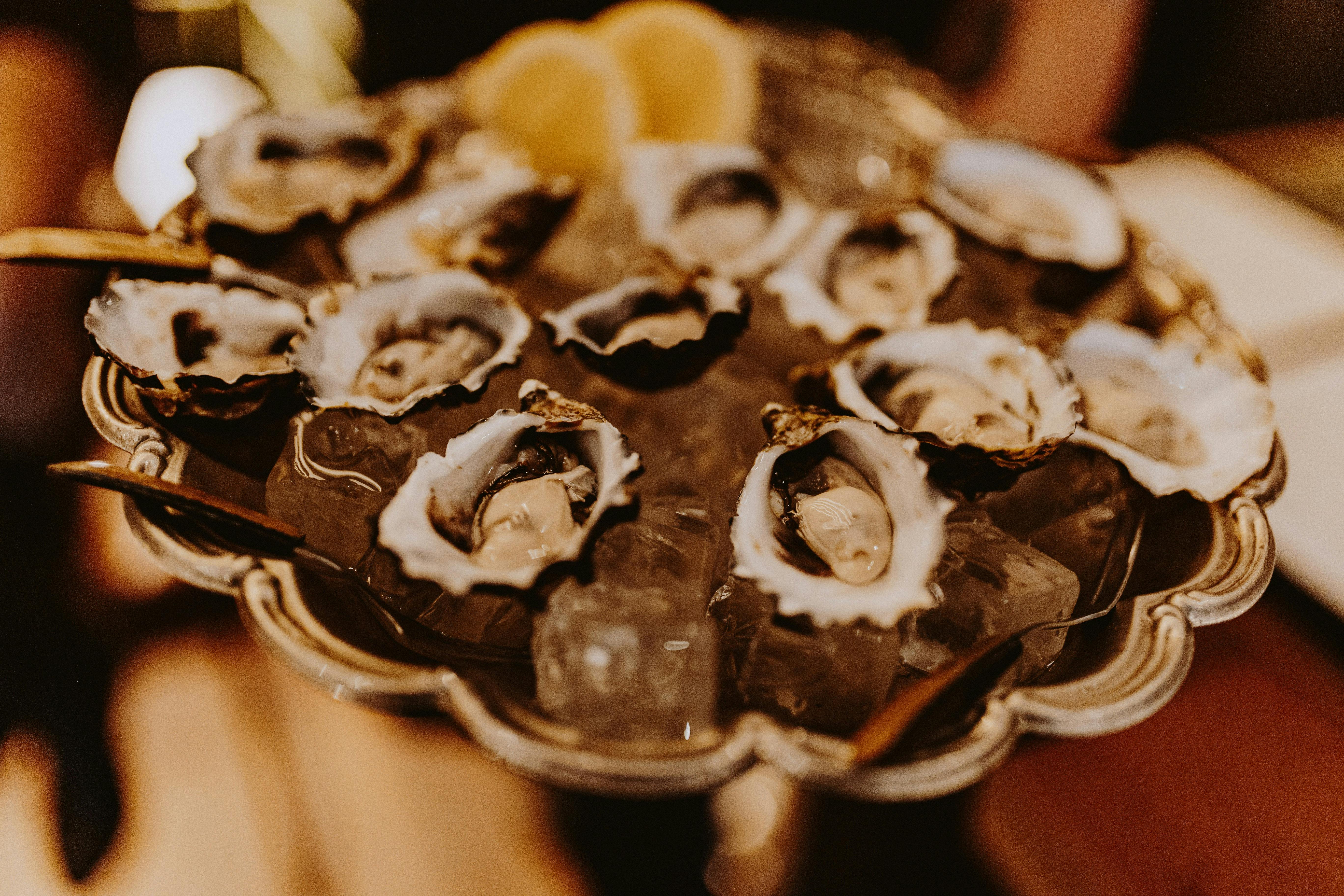Bar Que Sera - oysters