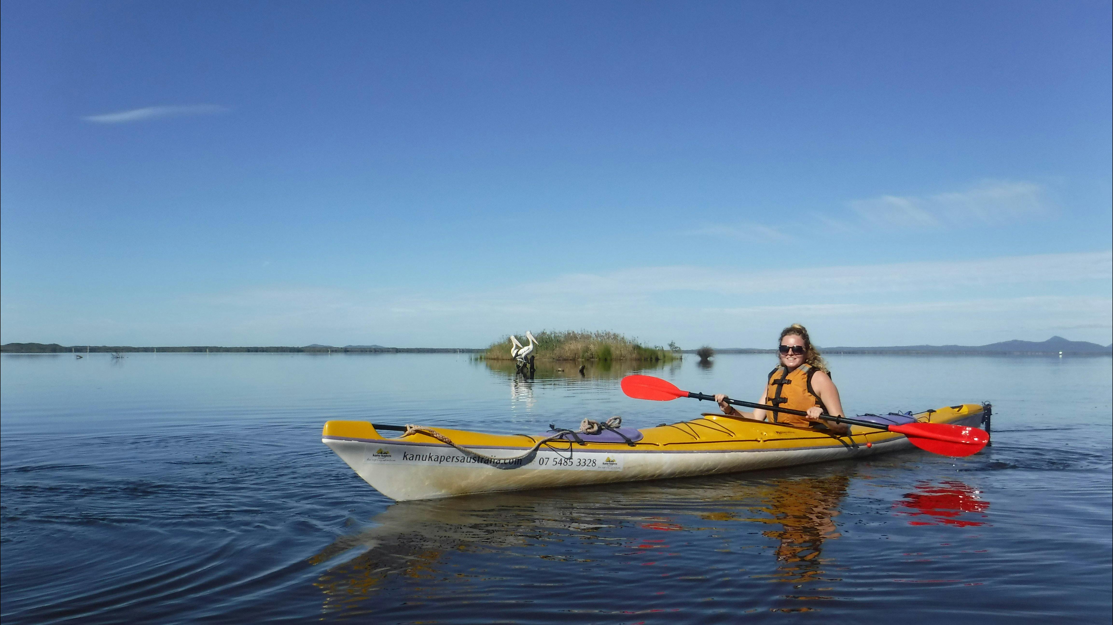 Checking out the wildlife