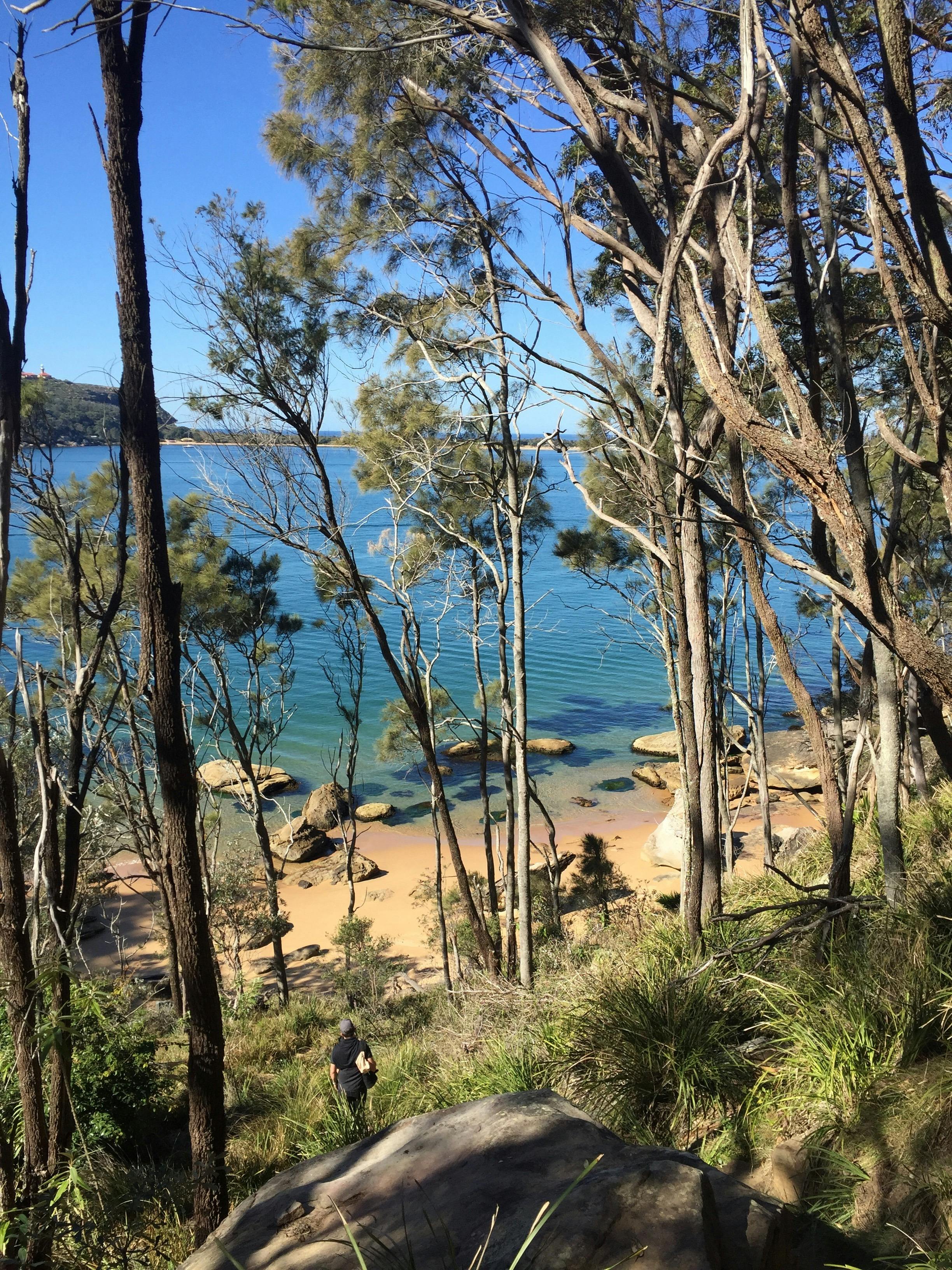 Northern Escape Tour