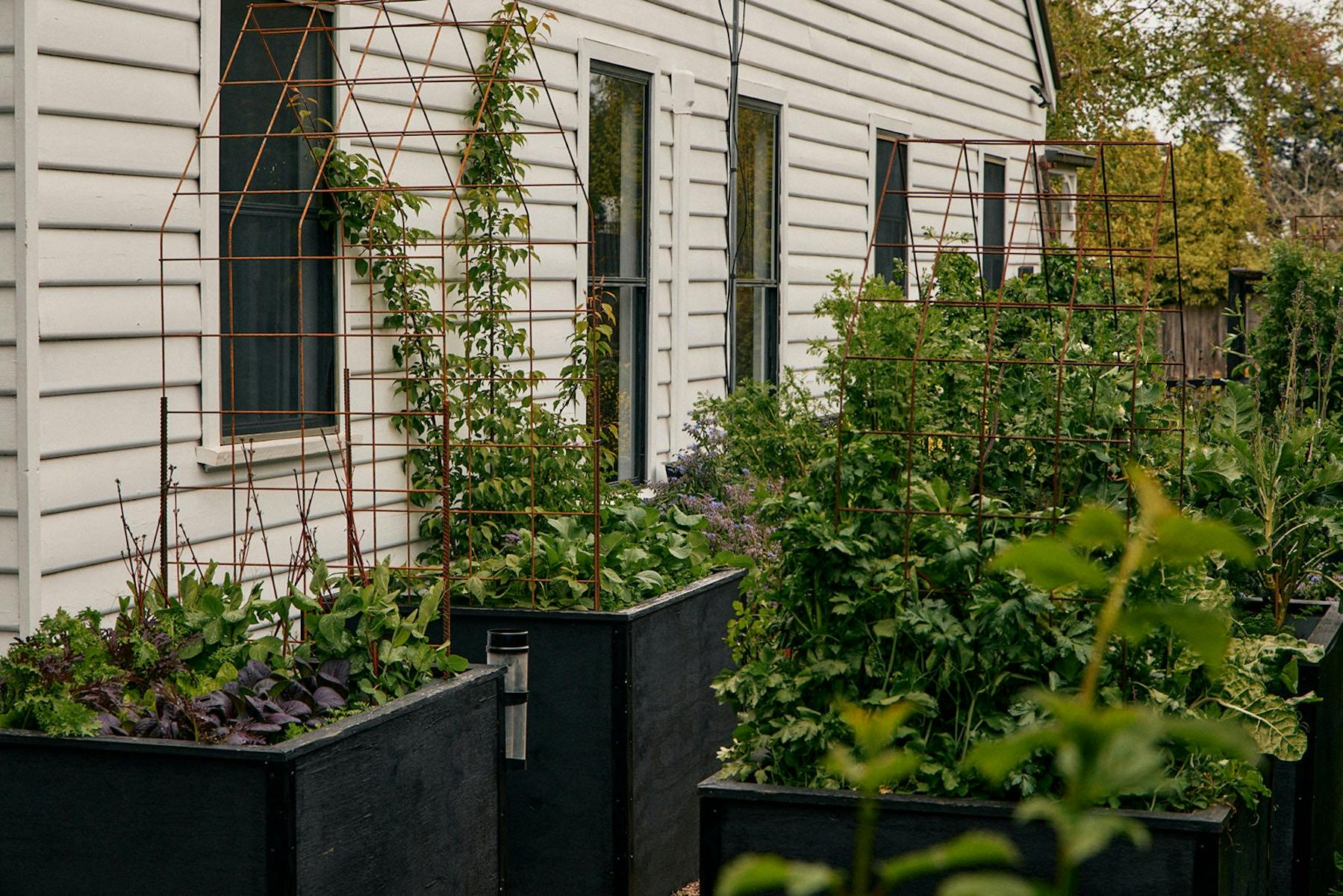 The wicking bed garden at Little Cottage on a Hill