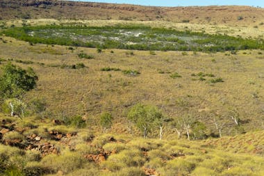 Tanami Track Tours Alice Springs to Broome or reverse