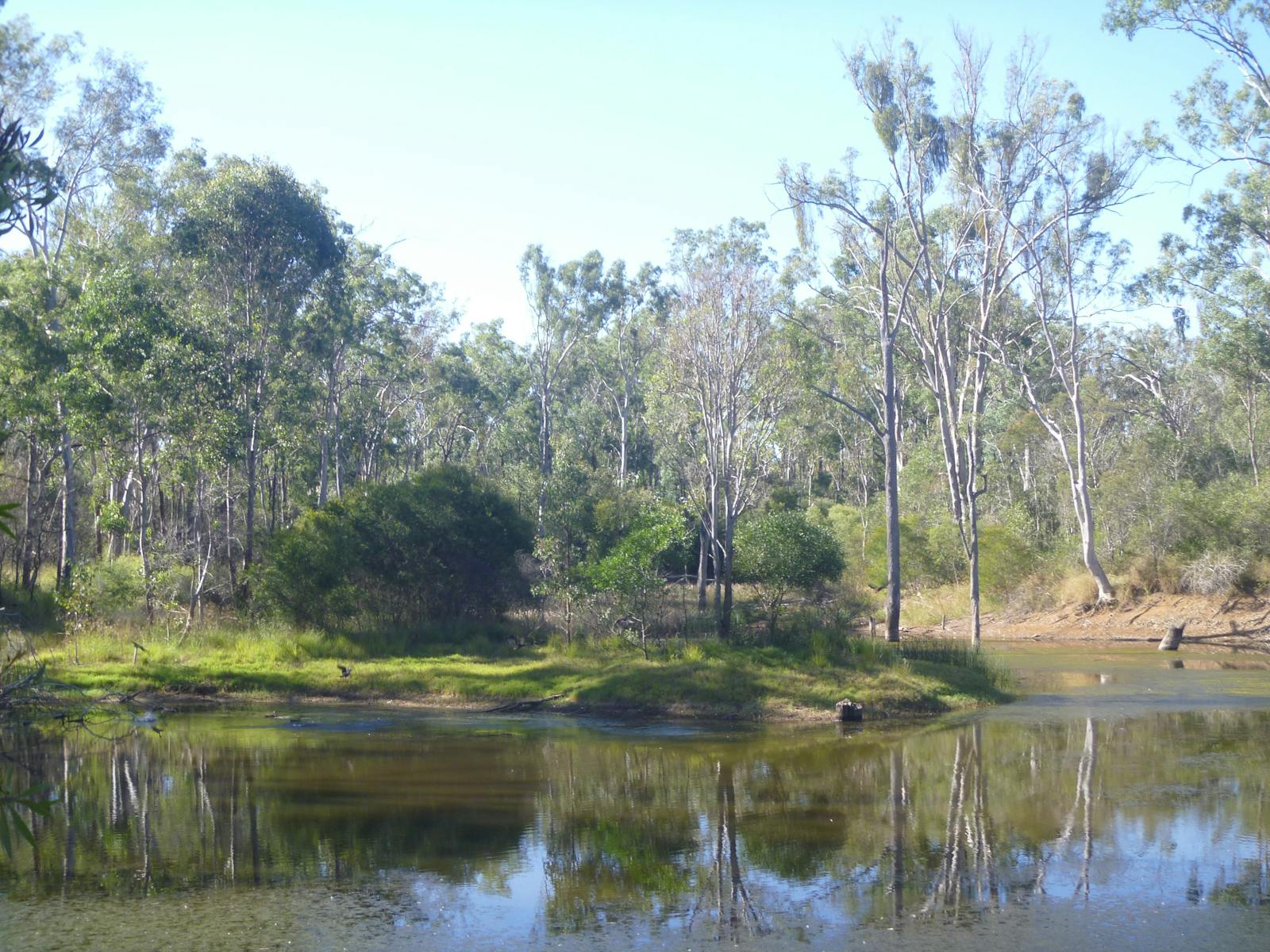 Nanango Fauna Reserve