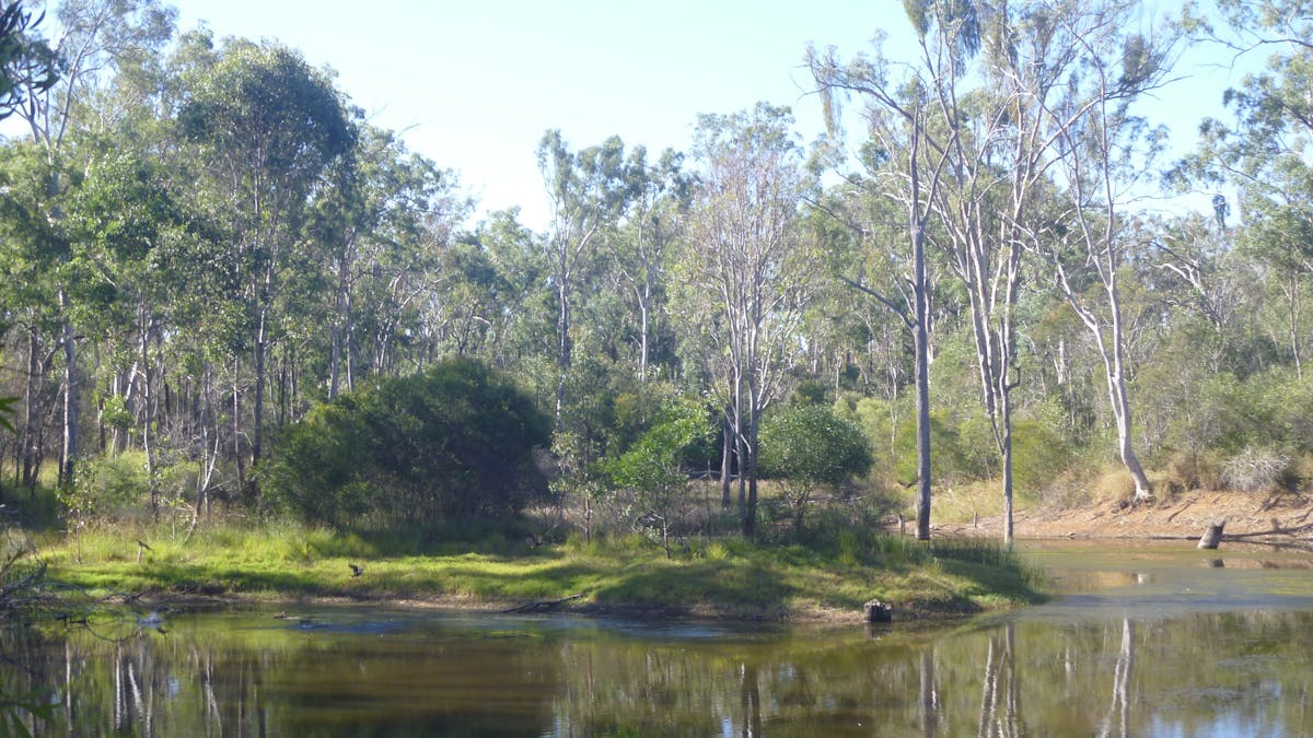 Nanango Fauna Reserve