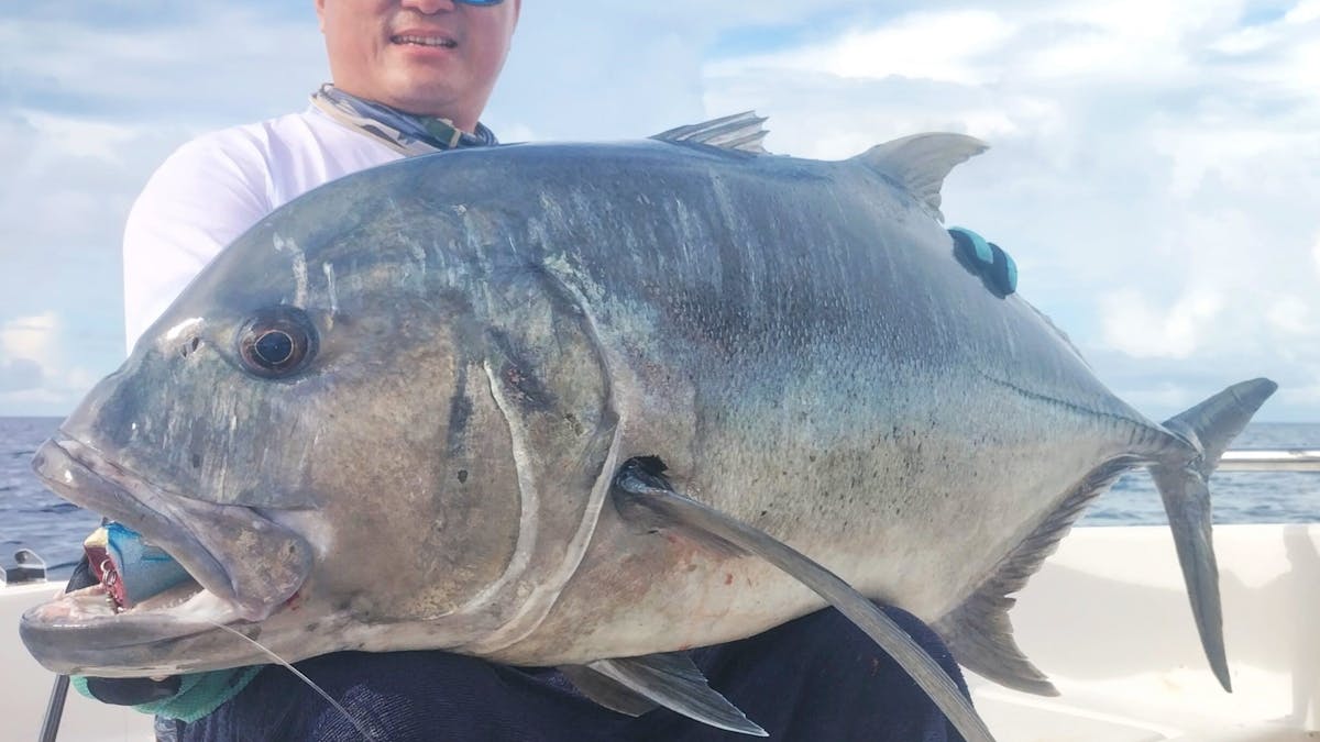 Giant Trevally caught at remote reef