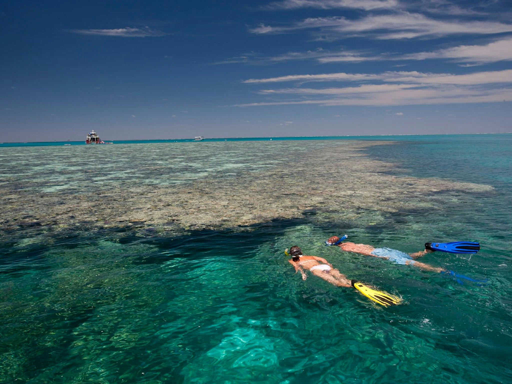 Fitzroy Reef Lagoon Fitzroy Reef Lagoon