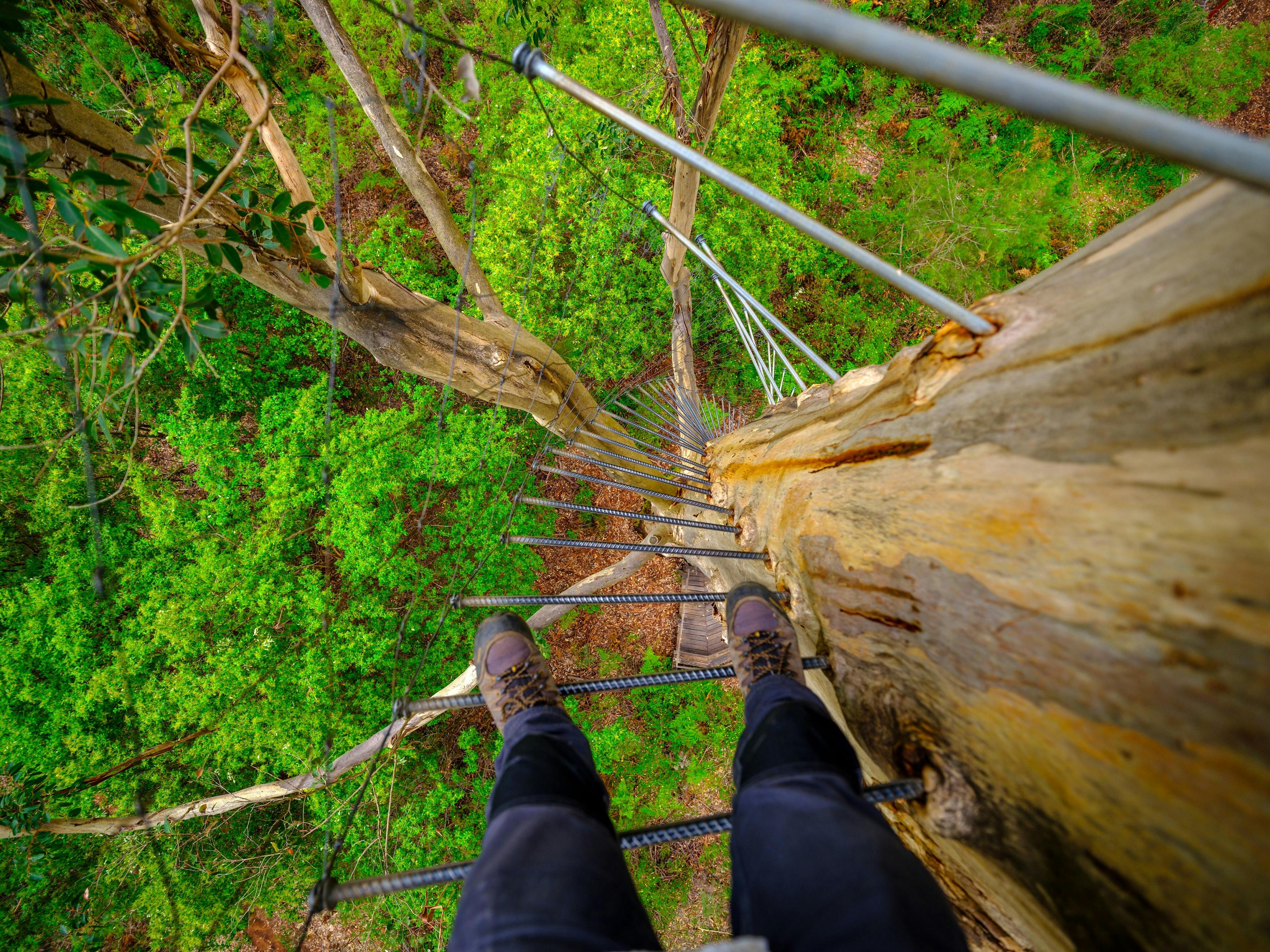 Best of the South West, Pemberton, Western Australia
